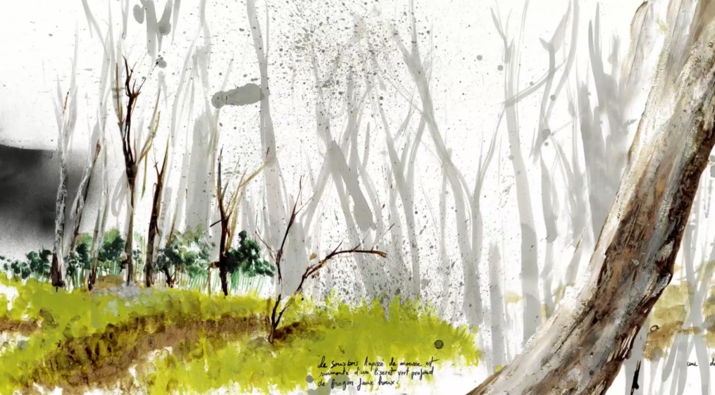Ciné-débat autour de la forêt