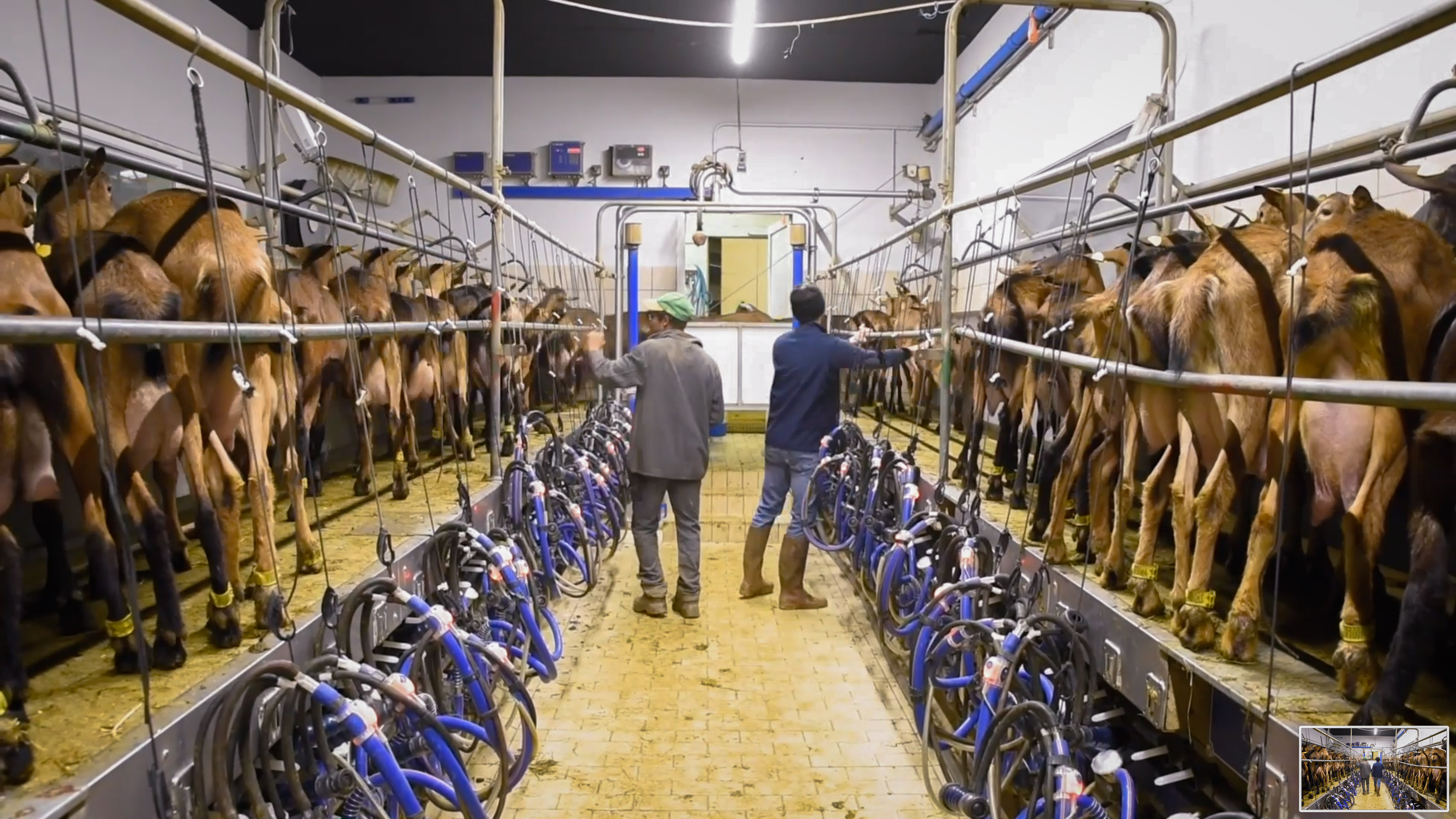 Ferme Pédagogique "La Borie d'Imbert", Rocamadour - photo 2