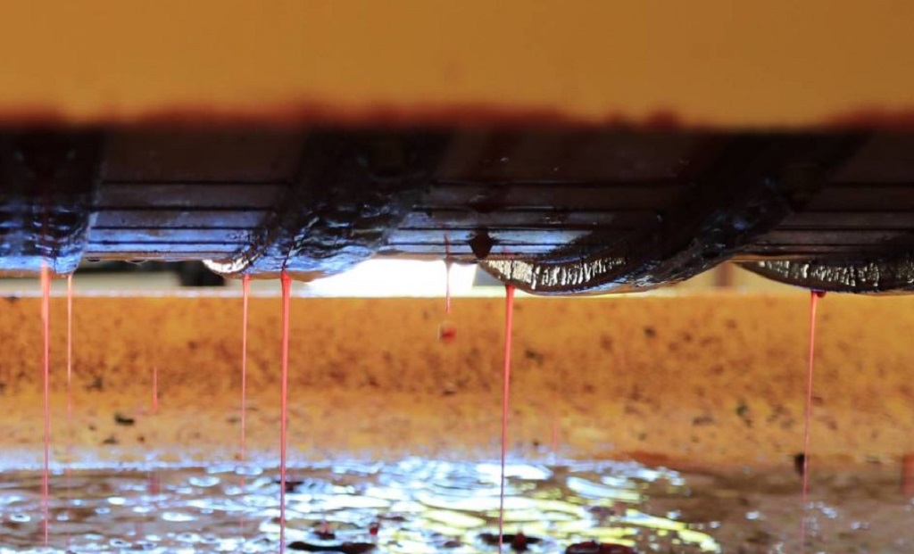 Visites du vignoble de la Vinadie