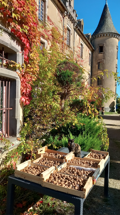 Château de Bessonies, Bessonies - photo 15