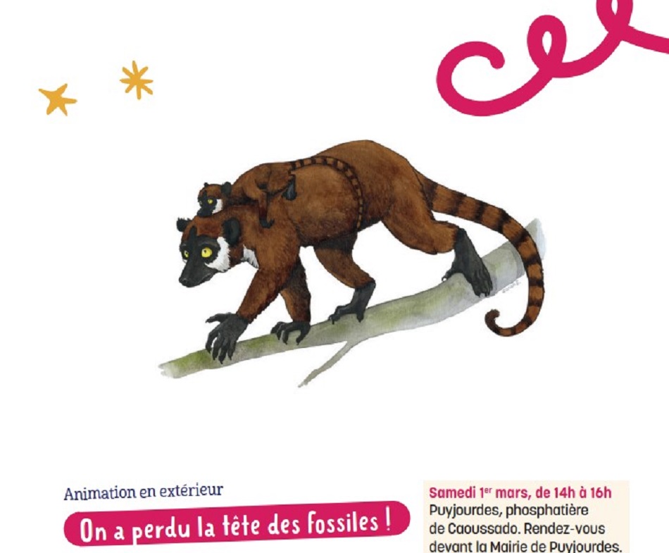 Graines de Moutards à Puyjourdes, sortie : On a perdu la tête des fossiles !, Puyjourdes - photo 2