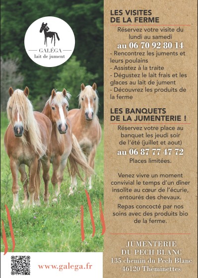 Les Banquets de l'été à la Jumenterie!, Théminettes - photo 3