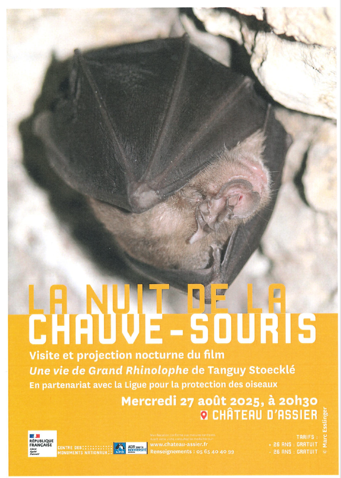 La nuit de la chauve-souris au Château d’Assier