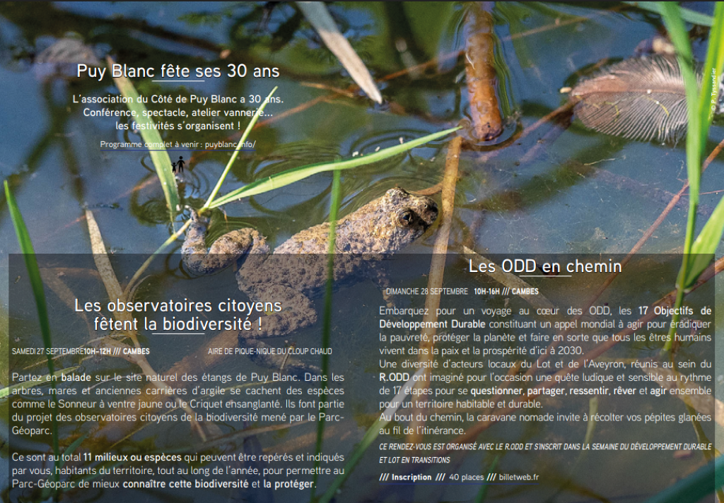 Les Odd en chemin ! Objectifs développement durable