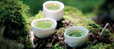 Festival Résurgence IX - Éternel Refuge – Vernissage & lancement du festival Résurgence IX