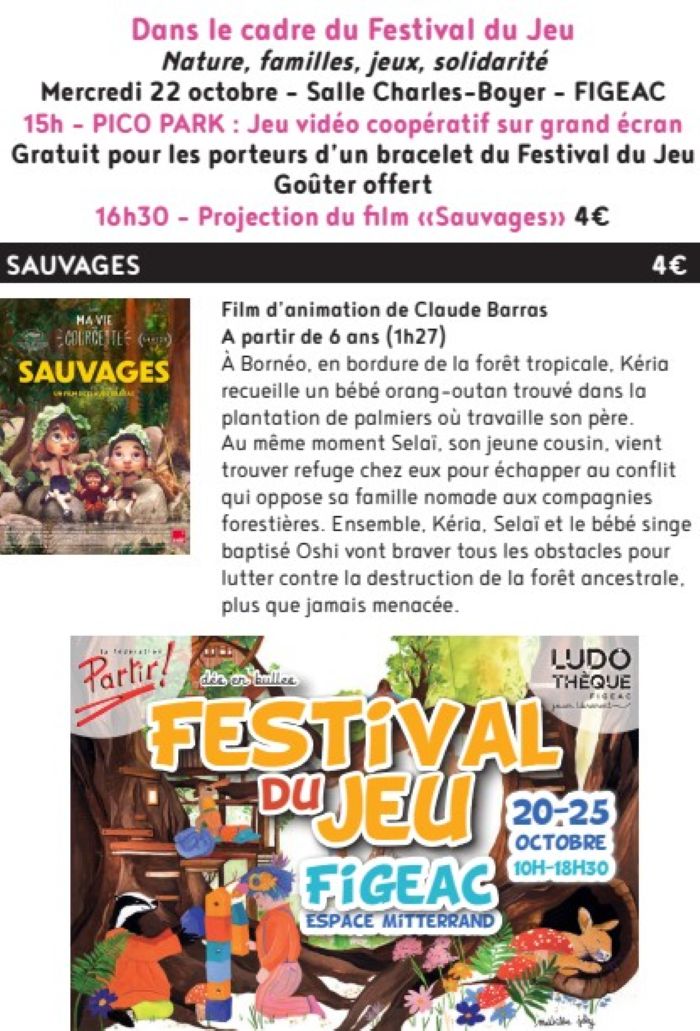 Ciné Jeu à Figeac, Pico Park et ciné  "Sauvages"