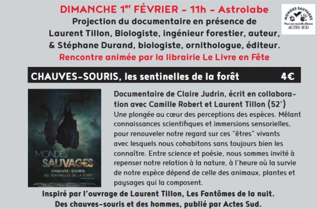 Ciné-rencontre à Figeac : chauves-souris, les sentinelles de la forêt