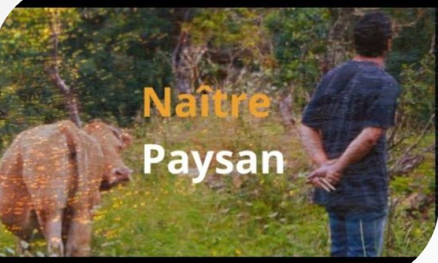 Ciné-rencontre à Figeac : naître paysan