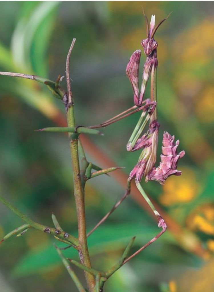 Aventure dans le mini-monde au château d'Assier