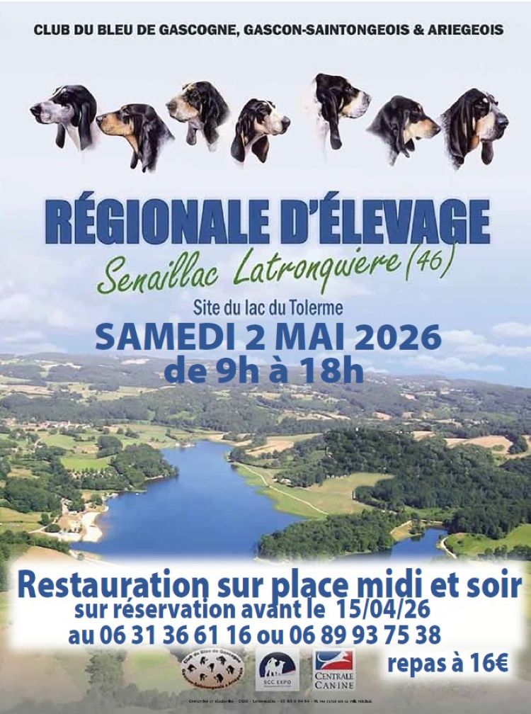 Régionale d’élevage de chiens au lac du Tolerme
