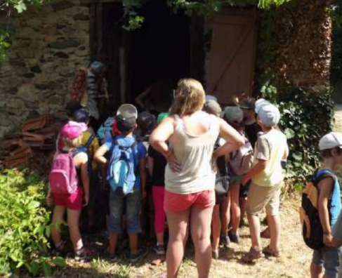 Séjour Créatif à la Ferme des Cerisiers "L'été magique de Narnia"