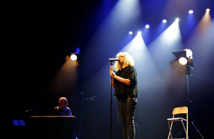 Les Chansonnades - Spectacle chansons françaises