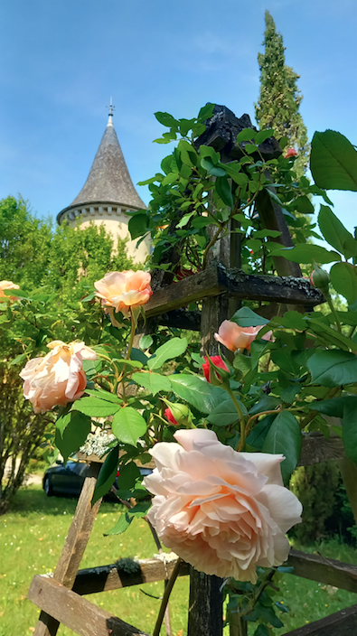 Château de Bessonies, Bessonies - photo 12
