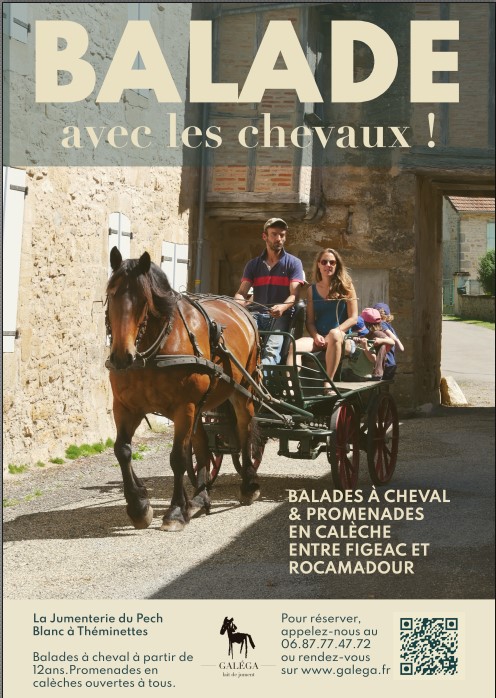 Jumenterie du Pech Blanc, Théminettes - photo 5