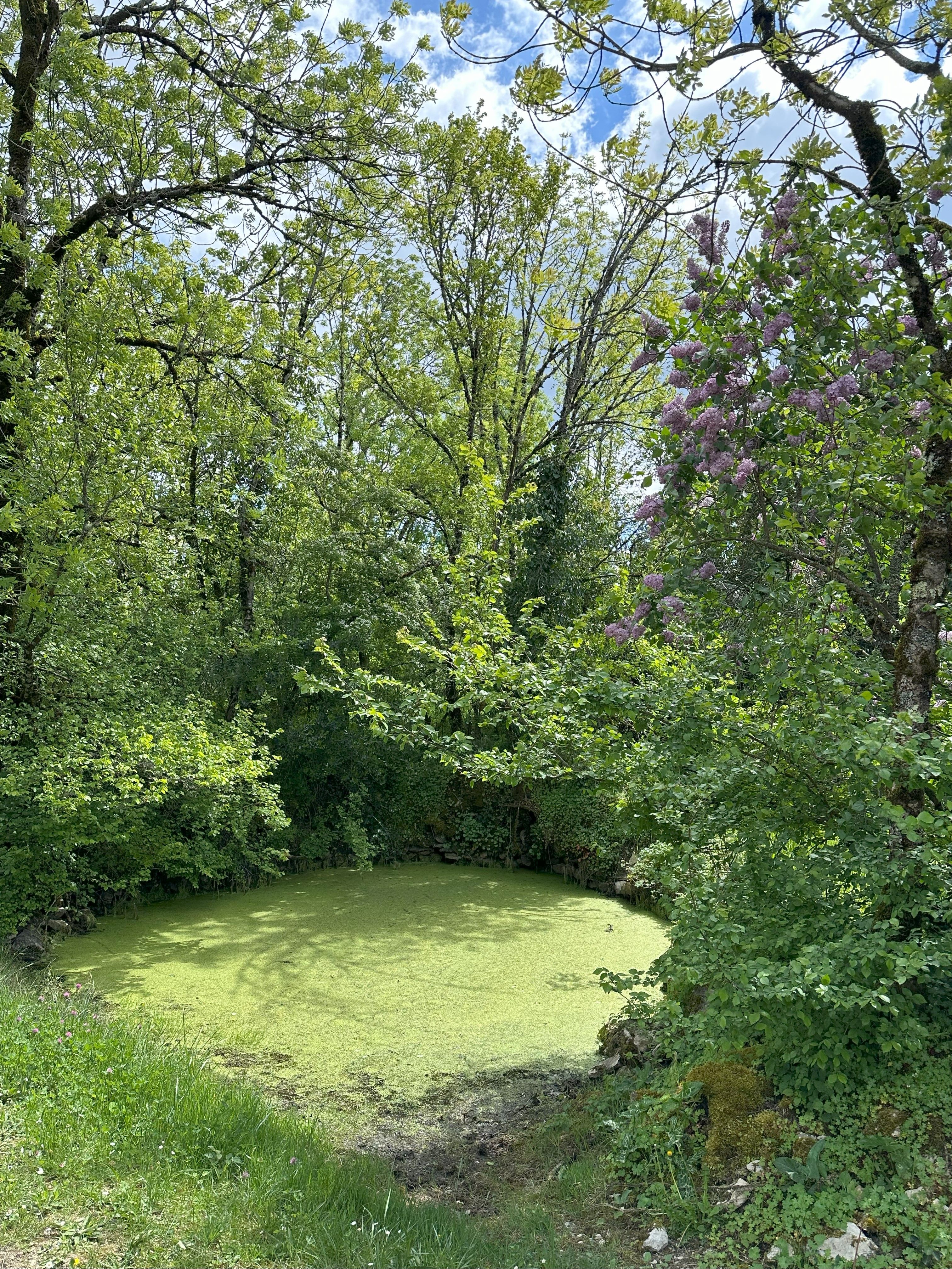 Le causse