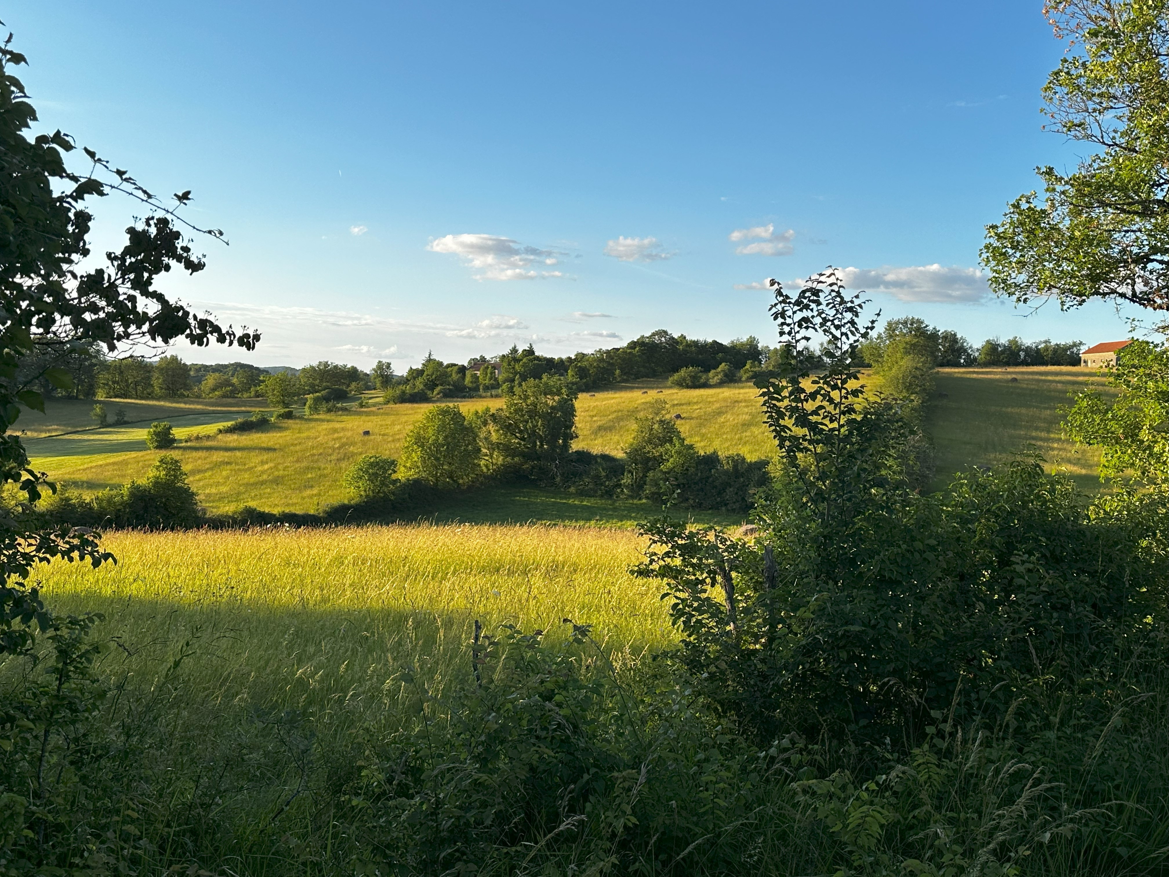 Le causse