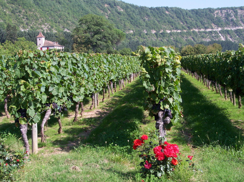 Château Prieuré La Condamine