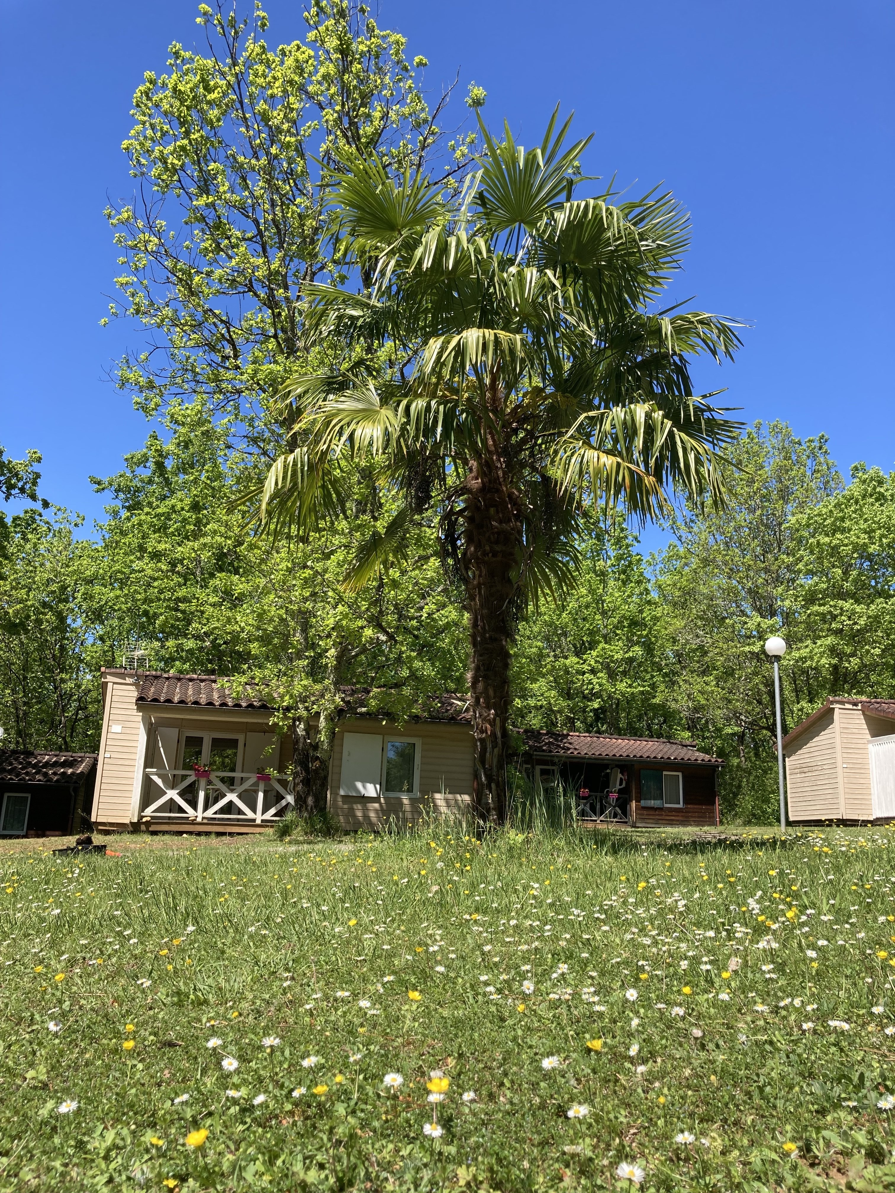 Village Vacances Camping Les Bois de Prayssac, Prayssac - photo 3