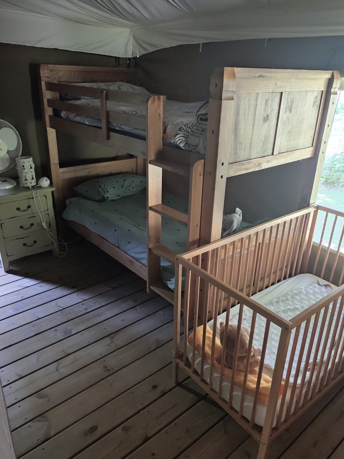 Pagel - Moomba Lodge Elephant, Catus - photo 2