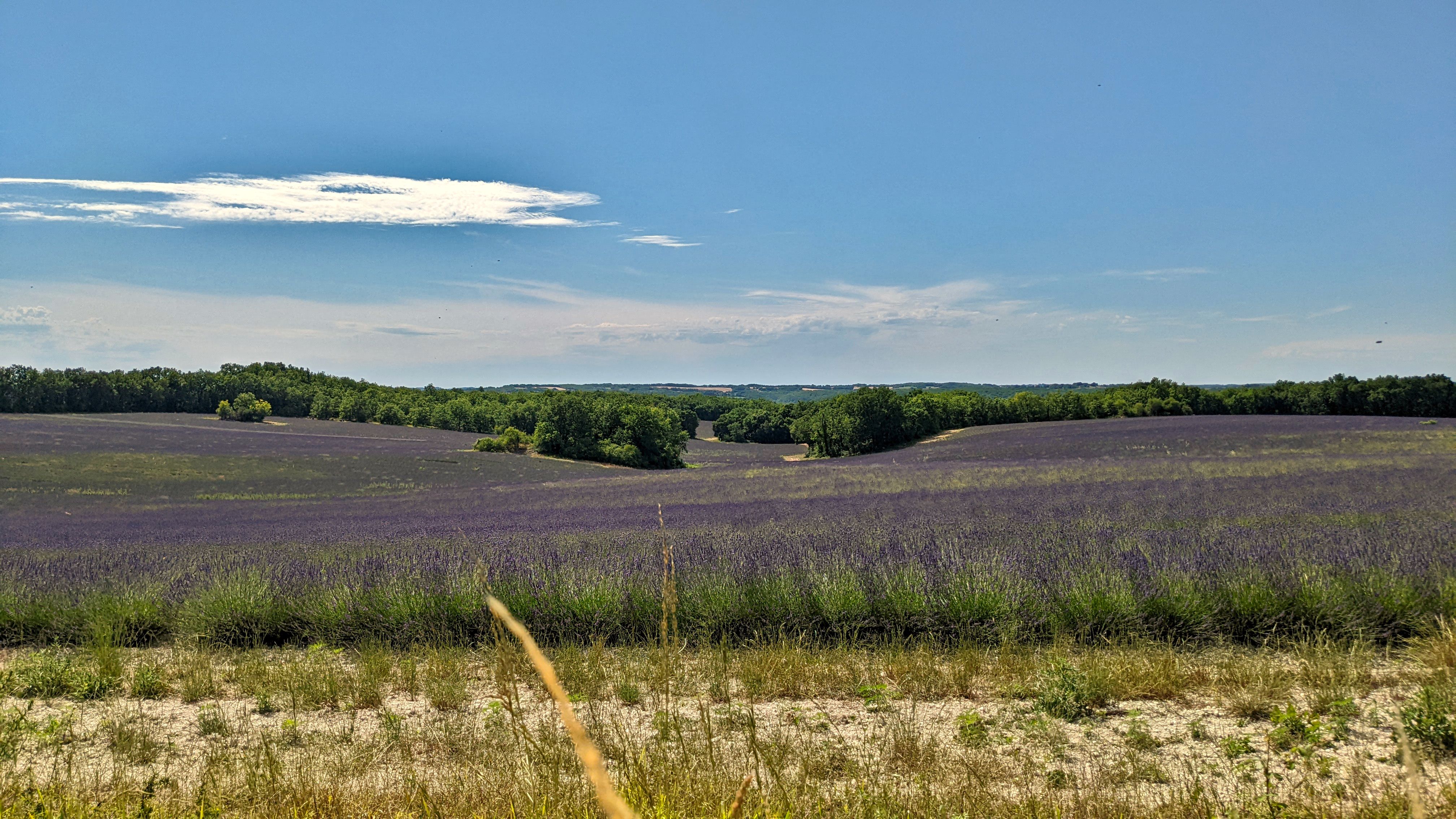 Mas Labrugade - L'Acolyte, Montcuq-en-Quercy-Blanc