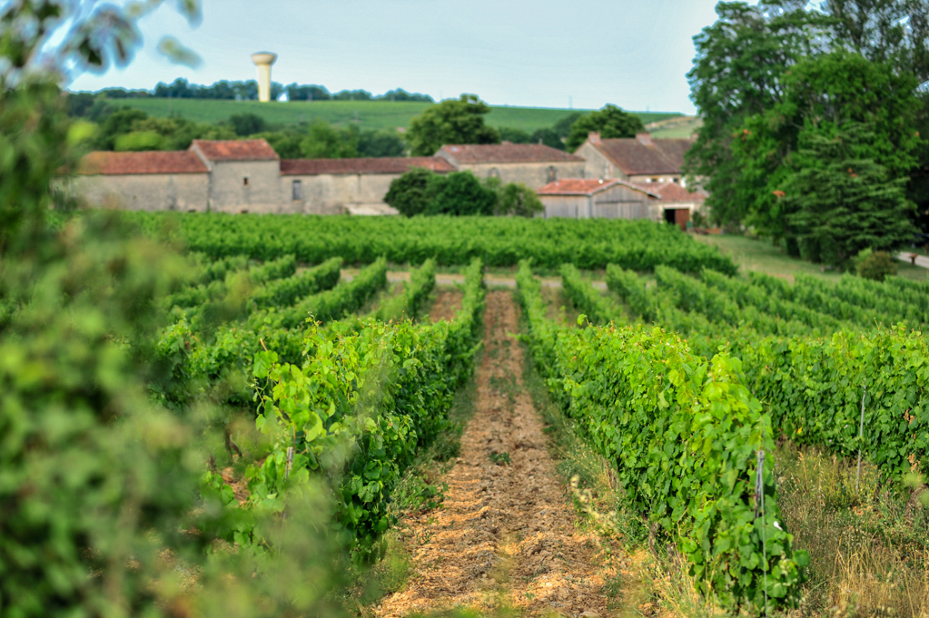Château Lacapelle-Cabanac