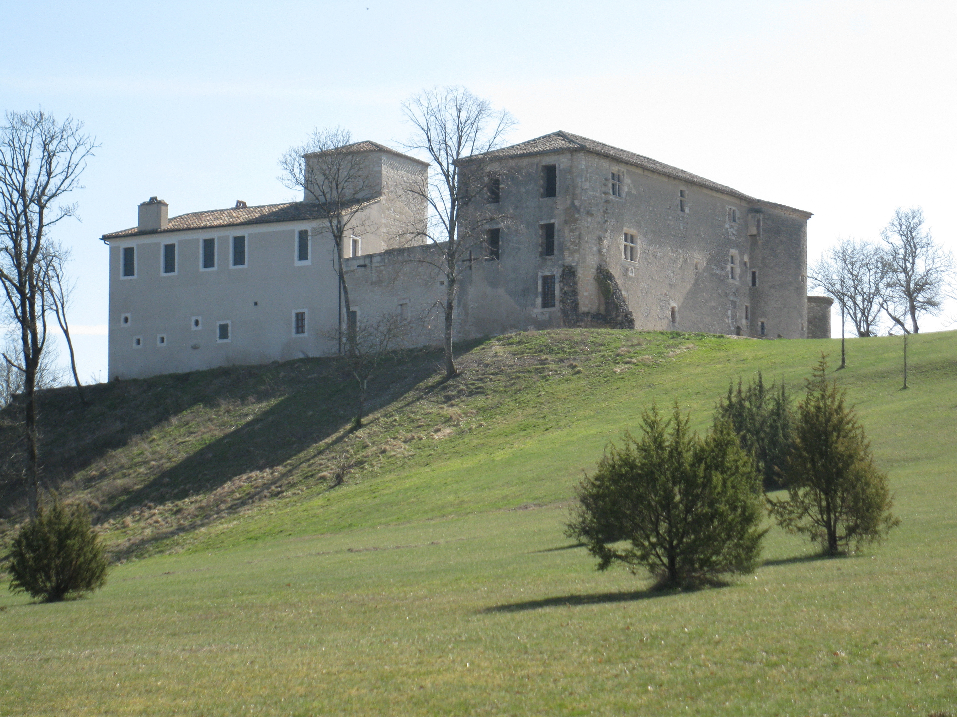 Visite guidée du château