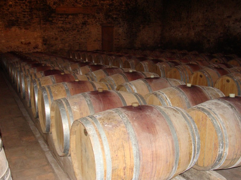 Château La Gineste — photo 2