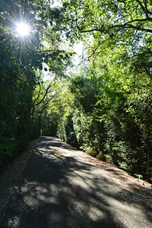 Château de Lacomté Country Club, Carlucet - photo 3