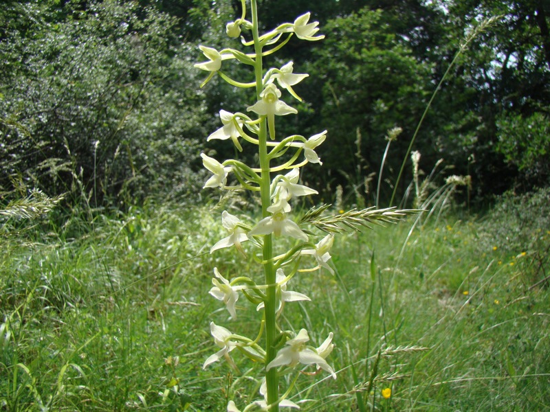 Château de Lacomté Country Club, Carlucet - photo 17