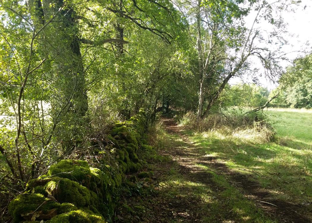 Chemin - circuit le chemin aux deux visages_19 © Lot Tourisme - A. Leconte