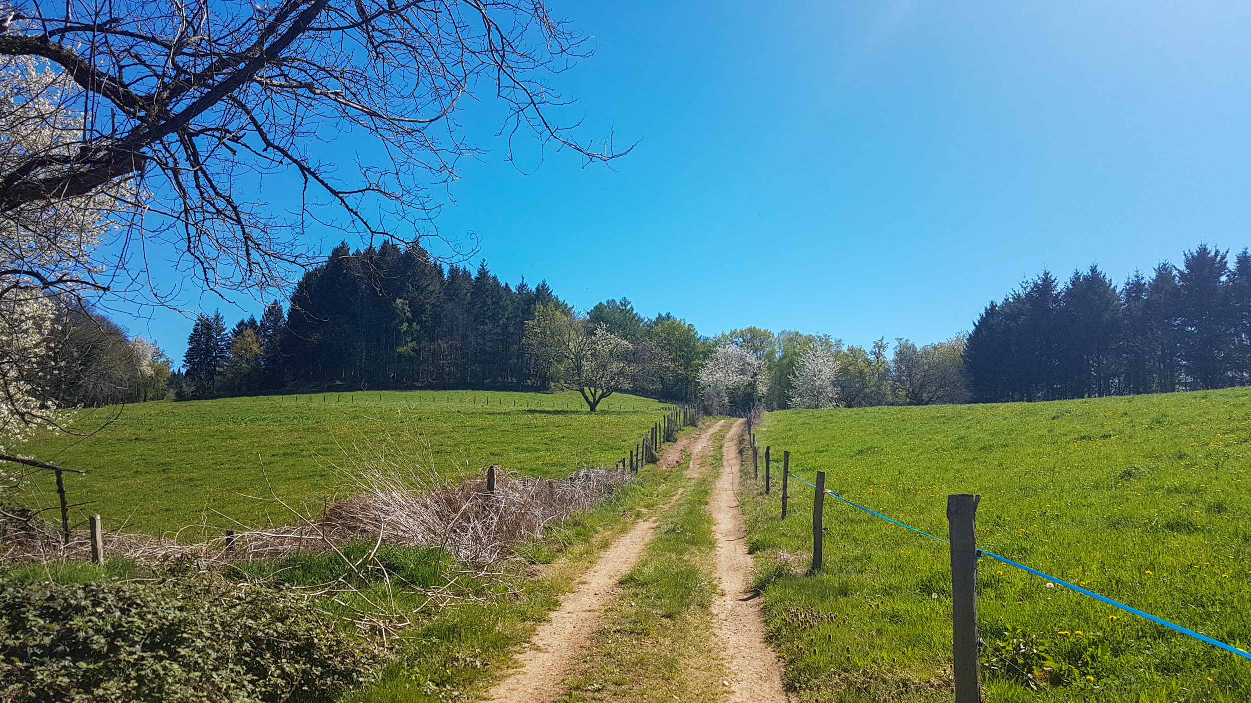 De Teyssieu à Estal, Teyssieu - photo 2
