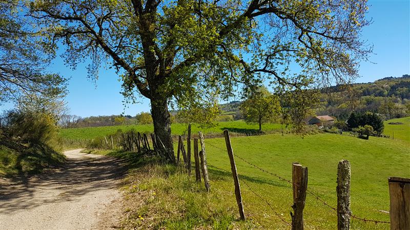 Chemin de Teyssieu à Estal
