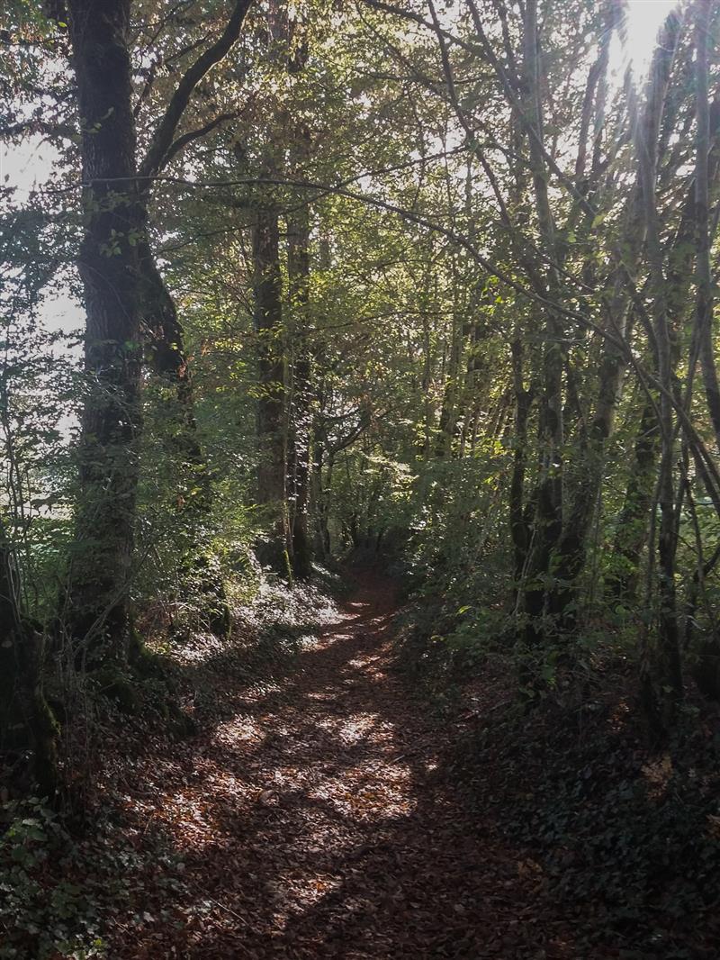 Chemin en sous-bois - circuit le chemin aux deux visages_11 © Lot Tourisme - A. Leconte