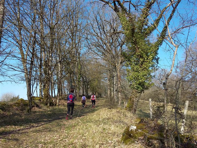 Aynac - Chemin et Muret