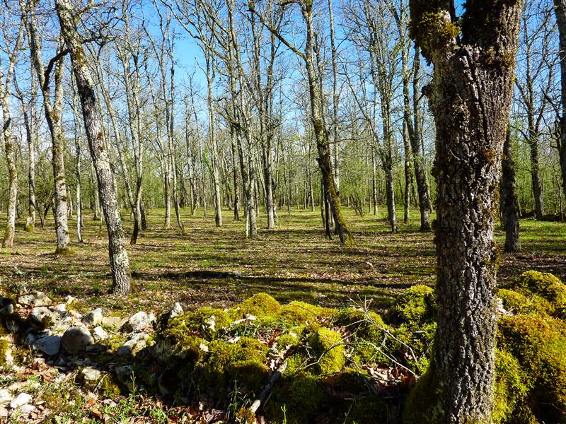 Chemin passant par le pech del Piatzé © Lot Tourisme - C. Sanchez