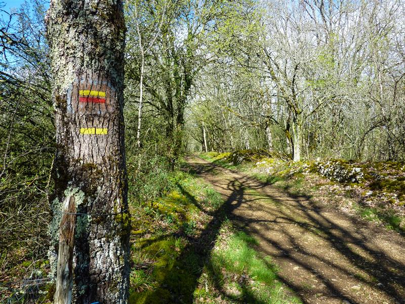 Chemin passant par le pech del Piatzé © Lot Tourisme - C. Sanchez