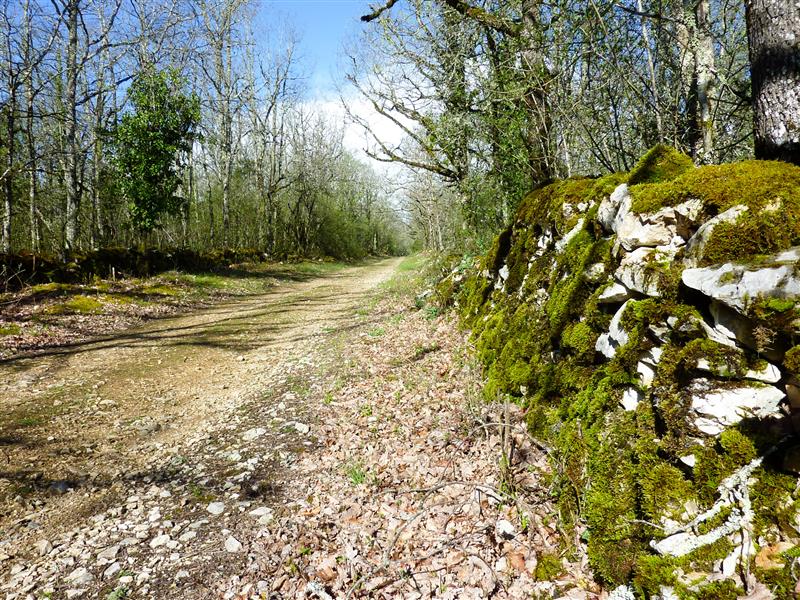 Chemin passant par le pech del Piatzé © Lot Tourisme - C. Sanchez