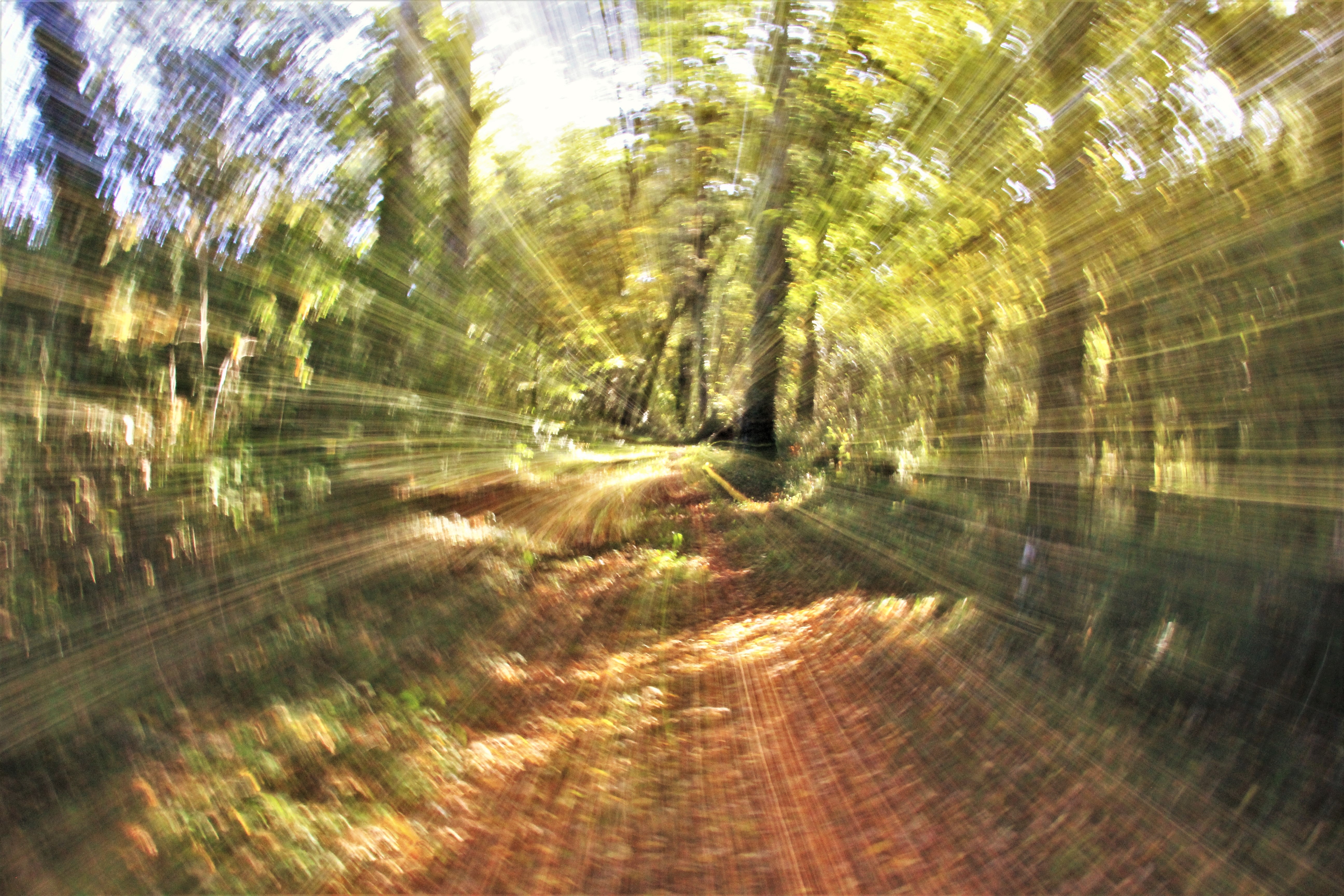 La Grange Du Bos, Rouffilhac - photo 3