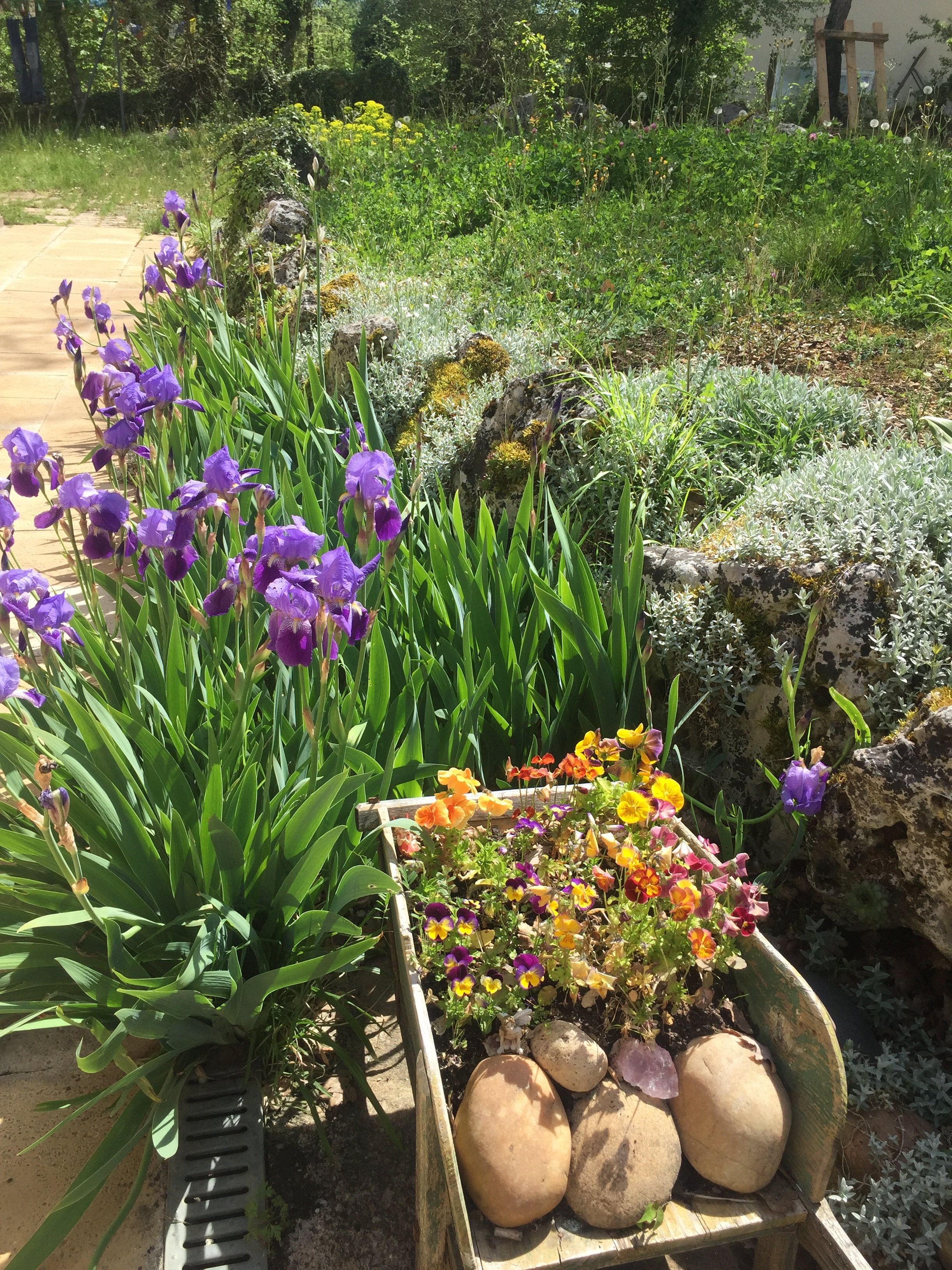 Chez Sylvie En Quercy, Laburgade - photo 8