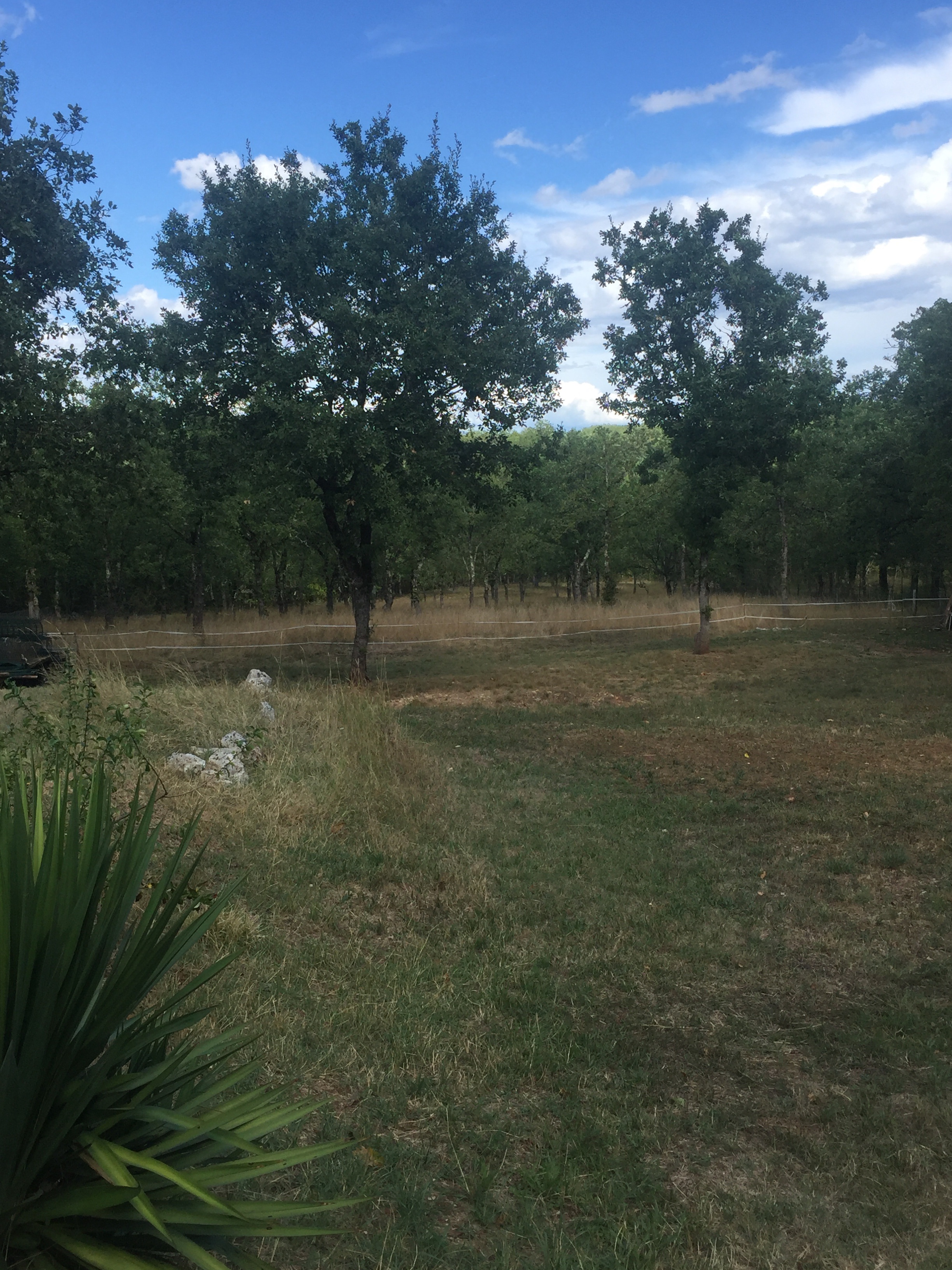 Chez Sylvie En Quercy, Laburgade - photo 9