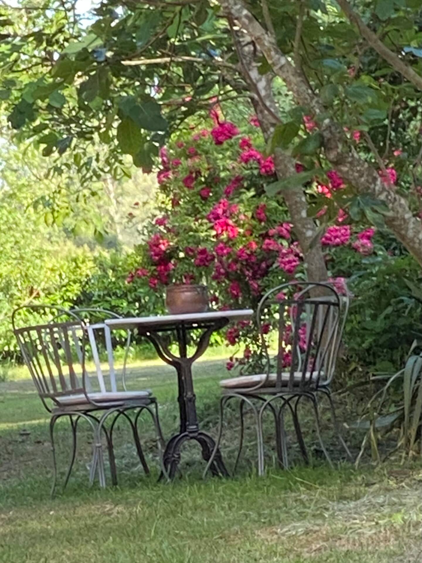 Choubello Gite, Fajoles - photo 5