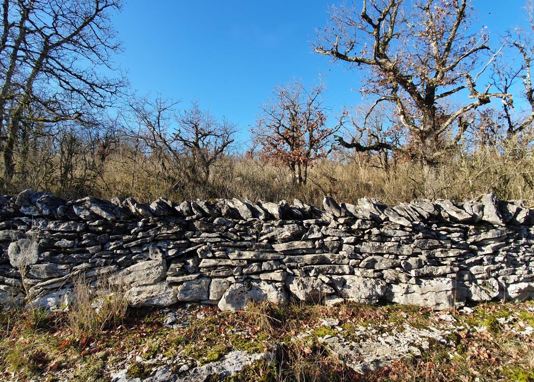 Circuit ENS des Cazelles à Marcilhac sur Célé