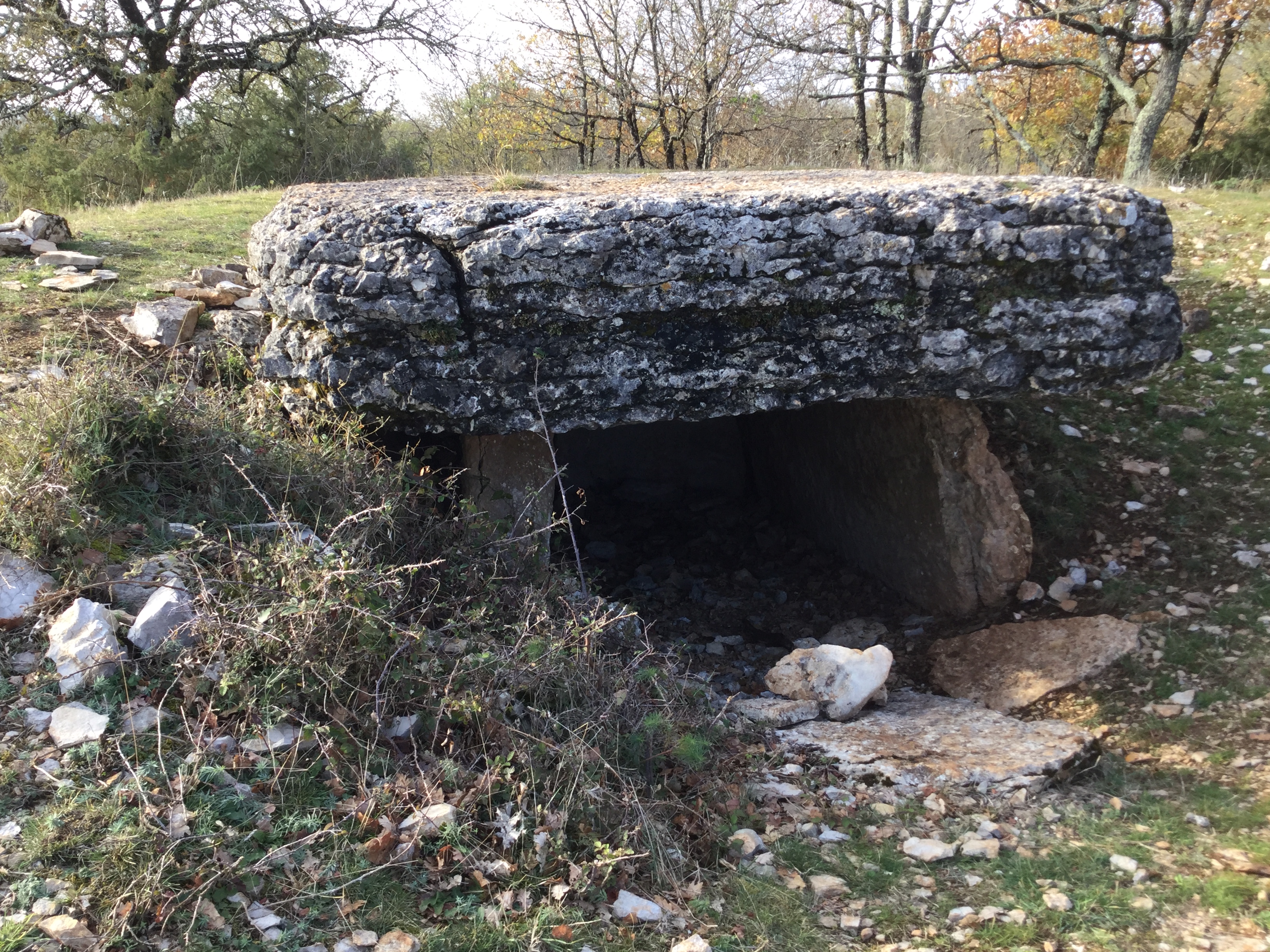 Circuit Les dolmens de Miers 8 - OT VD Gloria Lafarge