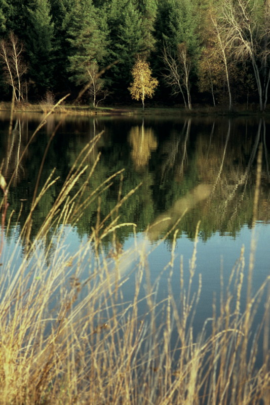 Cardaillac : Plan d'Eau des Sagnes