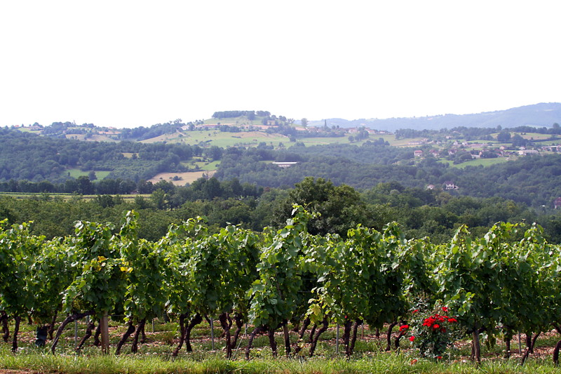 Dans les Vignes de Glanes, Bretenoux - photo 2