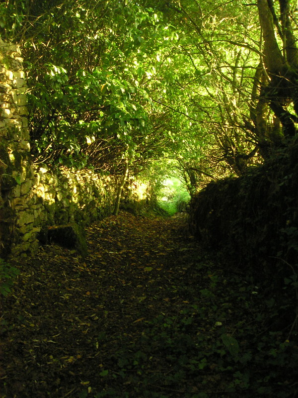 Circuit des 4 Croix, Cavagnac