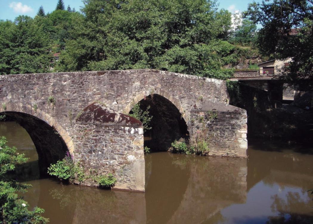 Bagnac Sur Célé - Pont Médiéval 