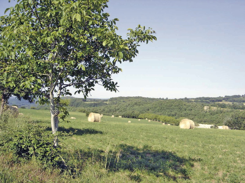 Le Vert , la Belle et les Châteaux