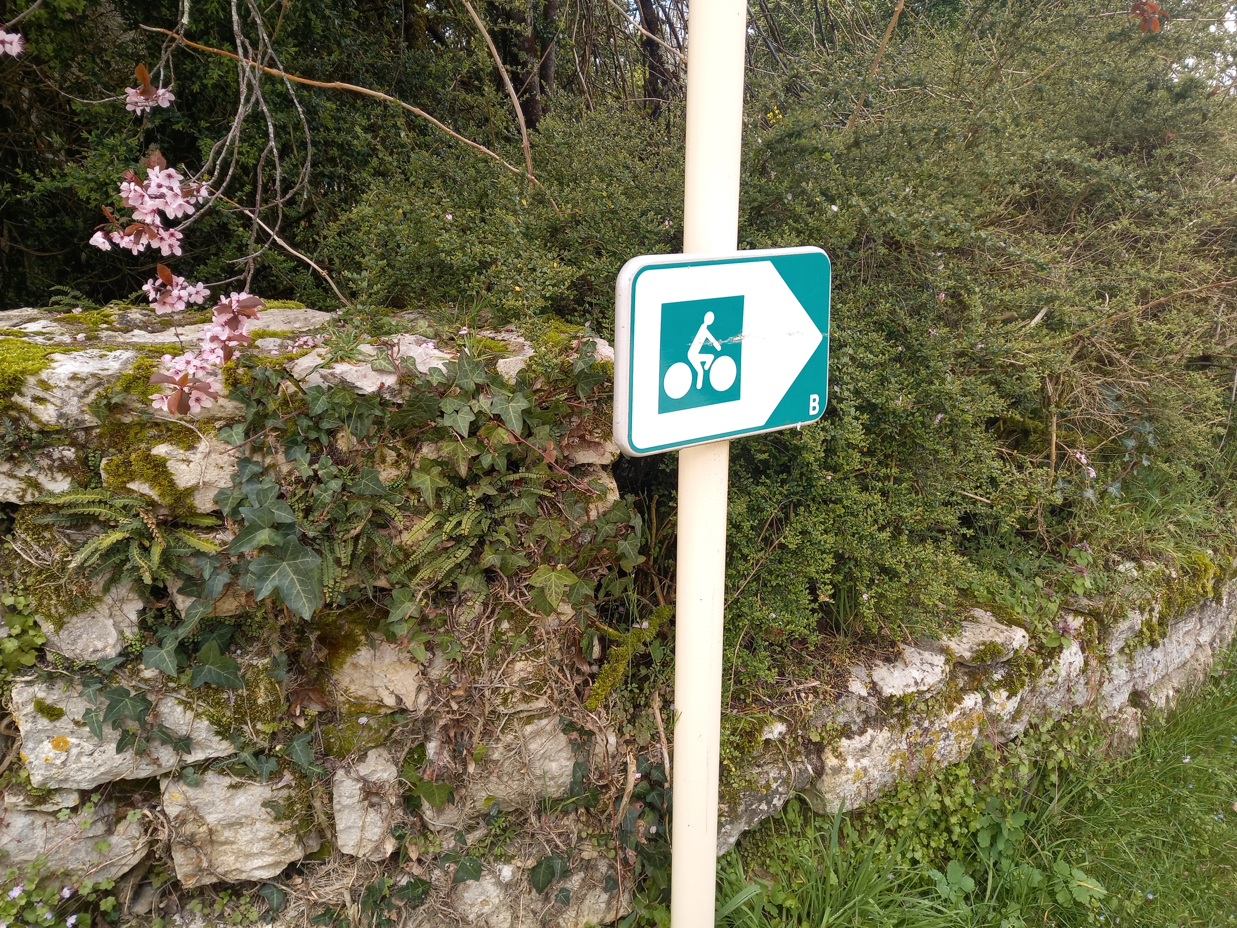 Causalis, Montfaucon - photo 25