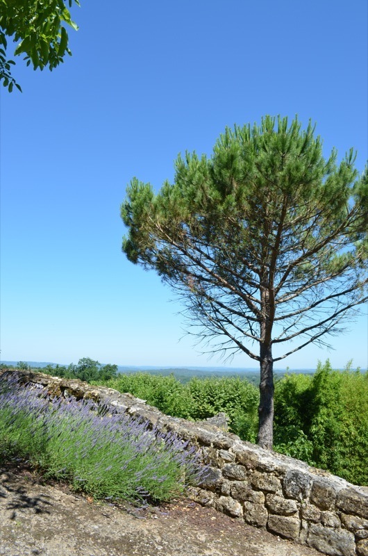 Cité Médiévale de Gourdon, Gourdon - photo 9